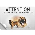 Comparatif des accessoires indispensables pour accueillir un chiot Léonberg à vendre