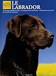 Guide complet pour adopter un Labrador : Analyse et comparaison des meilleurs produits pour votre nouveau compagnon à quatre pattes Guide complet pour adopter un Labrador : Analyse et comparaison des meilleurs produits pour votre nouveau compagnon à quatre pattes