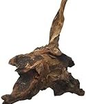 Meilleure décoration naturelle pour aquarium : comparaison des produits pour animaux de compagnie Meilleure décoration naturelle pour aquarium : comparaison des produits pour animaux de compagnie