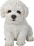Les Meilleurs Produits pour Chiot Bichon Maltais : Guide d'Analyse et de Comparaison