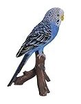 Les meilleures fournitures pour perruches bleues : comparaison et analyse des produits pour animaux de compagnie
