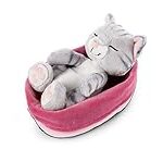 Guide d'achat : Où faire dormir un chaton pour son confort et sécurité