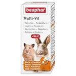 Durée de vie d'un lapin domestique : ce que vous devez savoir pour choisir les meilleurs produits pour votre animal de compagnie