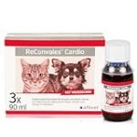 Souffle cardiaque chez le chat : comment choisir les meilleurs produits pour leur bien-être
