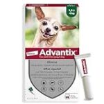 Analyse et comparaison : Le meilleur stronghold chiot pour protéger votre compagnon à quatre pattes