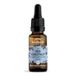 Les bienfaits de la fleur de Bach Marronnier Rouge pour les animaux de compagnie : Analyse et comparaison des meilleurs produits Les bienfaits de la fleur de Bach Marronnier Rouge pour les animaux de compagnie : Analyse et comparaison des meilleurs produits