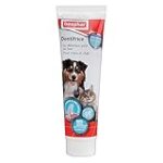 Dentifrice humain pour chien : Analyse et comparaison des meilleurs produits pour la santé dentaire de votre animal de compagnie