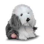 Les Meilleurs Produits pour Bobtail Chiot : Analyse et Comparaison