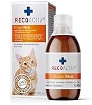 Comparatif des meilleures pâtées de convalescence pour chat : Choisir le meilleur produit pour aider votre animal à se rétablir