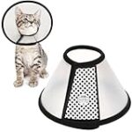 Comparatif des meilleures collerettes pour chats recommandées par les vétérinaires