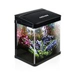 Meilleur aquarium 5 litres pour votre animal de compagnie : analyse et comparaison des produits.