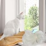 Comparatif des meilleures protections de fenêtre pour chat : comment garantir la sécurité de votre compagnon à quatre pattes