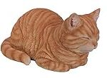 Les meilleurs produits pour chat tigre roux et noir : analyse et comparaison