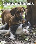 Les meilleurs produits pour chiens adaptés aux personnes âgées : analyse et comparaison Les meilleurs produits pour chiens adaptés aux personnes âgées : analyse et comparaison