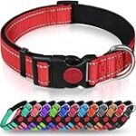 Comparatif des meilleurs produits pour chiot Chien Rouge de Bavière