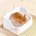 Les meilleurs produits pour chinchillas blancs : analyse et comparaison