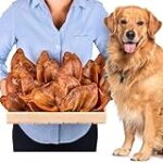 Les dangers des oreilles de porc pour chien : une analyse détaillée dans notre comparatif des meilleurs produits pour animaux de compagnie