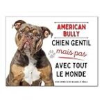 Comparatif des produits essentiels pour American Bully Merle: le guide ultime pour un animal de compagnie bien équipé