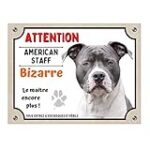 Le meilleur équipement pour les staff gris et blanc : comparaison et analyse des produits pour animaux de compagnie