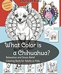 Guide d'achat : les meilleurs accessoires pour votre chihuahua adulte Guide d'achat : les meilleurs accessoires pour votre chihuahua adulte