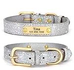 Comparatif des meilleurs produits pour Chihuahua grand gabarit : comment choyer votre grand chien de petite taille