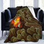 Guide d'achat pour amphiprion percula : Comparaison des meilleurs produits pour poissons-clowns