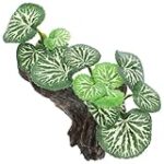 Guide d'achat : Transformez votre aquarium en terrarium pour plantes - Les meilleurs produits pour vos animaux de compagnie