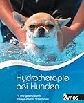 Comparaison des meilleurs produits pour animaux de compagnie : tout ce que vous devez savoir sur l'hydrothérapie pour vos compagnons à quatre pattes