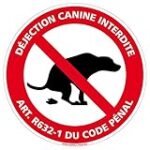 Comparatif des meilleures pensions canines à Reims pour votre compagnon à quatre pattes Comparatif des meilleures pensions canines à Reims pour votre compagnon à quatre pattes
