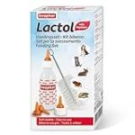 Recette pour chiot de 2 mois : Analyse et comparaison des meilleurs produits pour animaux de compagnie