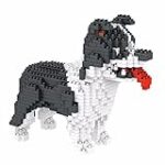 Les Meilleurs Produits pour Animaux de Compagnie pour Border Collie Sable: Comparatif et Analyse