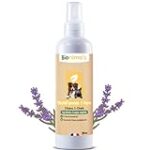 Comparatif des meilleures huiles essentielles anti-puces pour chat : Choisissez le traitement idéal pour votre compagnon à quatre pattes!