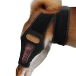 Les meilleures options de radio pour la dysplasie de hanche chez le chien : Analyse et comparaison des produits essentiels pour votre animal de compagnie