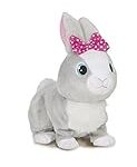 Comment traiter les petits problèmes de santé de votre lapin : Analyse et comparaison des meilleurs produits pour animaux de compagnie Comment traiter les petits problèmes de santé de votre lapin : Analyse et comparaison des meilleurs produits pour animaux de compagnie