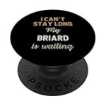 Les Meilleurs Produits pour Chiots Briards: Analyse et Comparaison