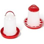 Les meilleurs abreuvoirs pour poules : analyse et comparaison des produits essentiels pour vos animaux de compagnie