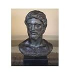 Les meilleurs produits pour animaux de compagnie recommandés par les vétérinaires à Vaison la Romaine