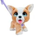 Les chiots Corgis : Comparaison des meilleurs produits pour ces adorables compagnons à quatre pattes Les chiots Corgis : Comparaison des meilleurs produits pour ces adorables compagnons à quatre pattes