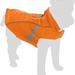 Comparatif des meilleurs produits pour bichon maltais croisé shih tzu : guide d'achat complet