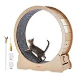 Comparatif des meilleures roues pour chat : Trouvez le modèle parfait pour divertir votre félin !