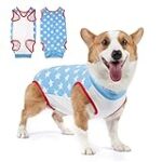 Comparatif des meilleurs produits pour staffy femelle : guide d'achat complet Comparatif des meilleurs produits pour staffy femelle : guide d'achat complet