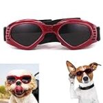 Guide d'achat : Comparaison des prix du chien des buissons pour animaux de compagnie