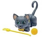 Éleveur de chat Chartreux : Les meilleurs produits pour choyer votre compagnon félin
