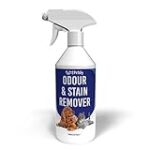 Les bienfaits de la cannelle pour chien : comparaison des meilleurs produits pour animaux de compagnie