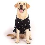 Où partir en vacances avec son chien : Analyse des meilleurs produits pour des voyages animaux-friendly