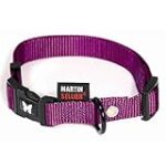 Comparatif des meilleurs colliers pour chien Martin Sellier : lequel choisir pour votre fidèle compagnon ?