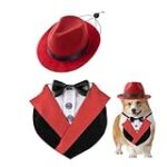 Comparaison des meilleurs services de pension de luxe pour chien : quel établissement choisir pour chouchouter votre compagnon à quatre pattes ?
