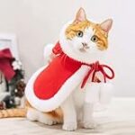 Comparatif des meilleures tenues de Noël pour chien : habillez votre compagnon avec style !