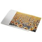 Comparatif du meilleur tapis pour animaux de compagnie : 24 avis à connaître absolument !