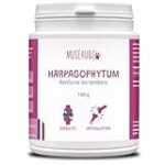 Le harpagophytum pour chien : posologie et comparaison des meilleurs produits pour soulager les douleurs articulaires
